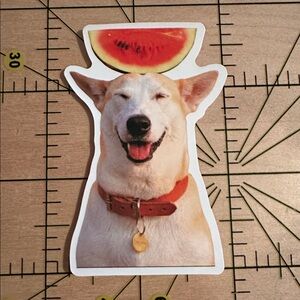 💜13/$13 +Bundle Sticker Sale | Dog Animal Waterproof Sticker